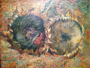 Van Gogh MG_4499