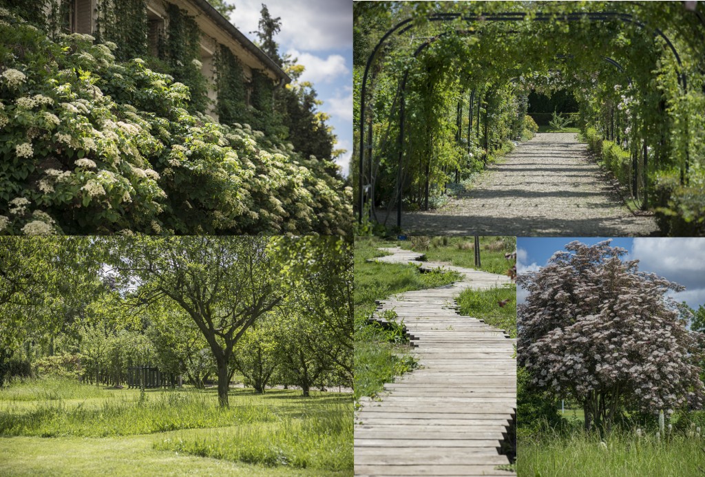 Ecole Du Breuil paysages