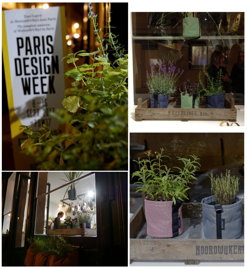 BACSAC PARISDESIGNWEEK